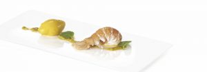 Dolce Cremeria - Ristorazione Frutto della Passione