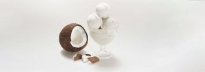 Dolce Cremeria - Preparazioni per Bar/Gelaterie